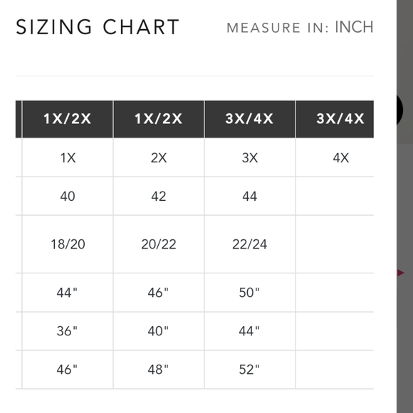 ASHLYNN ALLOVE Lace Hipster in Color - Hemlock - Picture 5 of 13